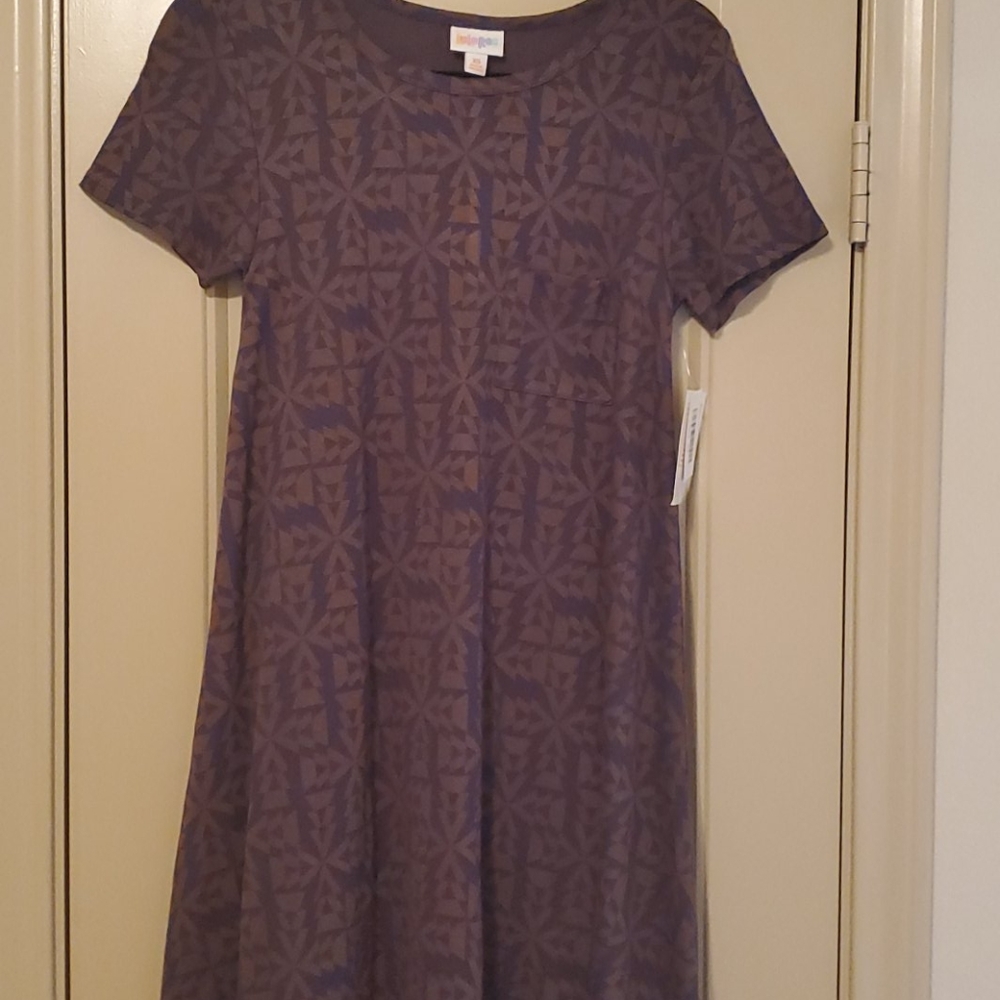 LuLaRoe Carly Dress